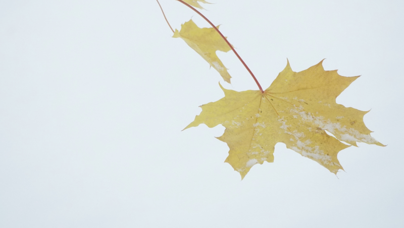 Neste klubbmøte er 10.november