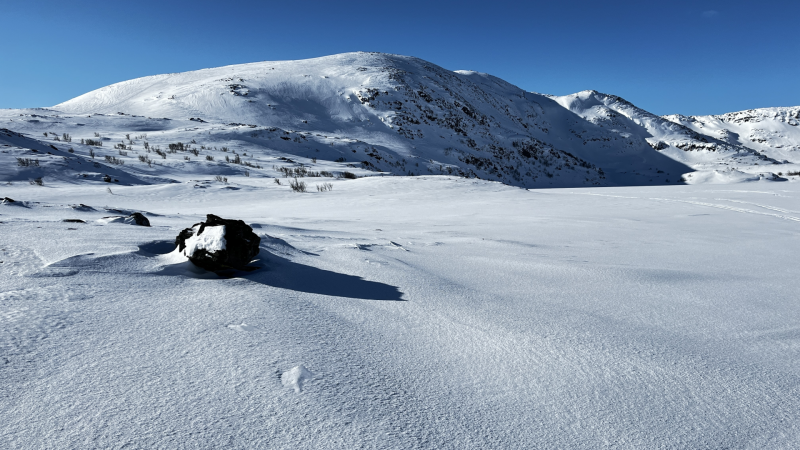 Neste medlemsmøte blir MANDAG 9.mars ( NB! )