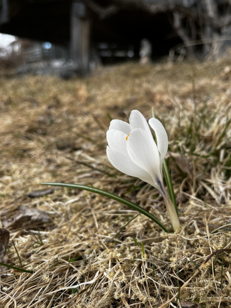 Neste medlemsmøte blir TIRSDAG 26.mai